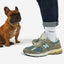 Dog Dad Club Socks - Black