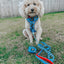 Dog Leash - Hot Wheels™