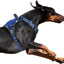 Tactical No-Pull Dog Harness with Handle, Reflective Adjustable Training Vest
