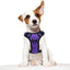 Tactical No-Pull Dog Harness with Handle, Reflective Adjustable Training Vest