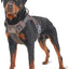 Tactical No-Pull Dog Harness with Handle, Reflective Adjustable Training Vest