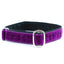 1″ Velvet Jingle Free Tag Dog Collar