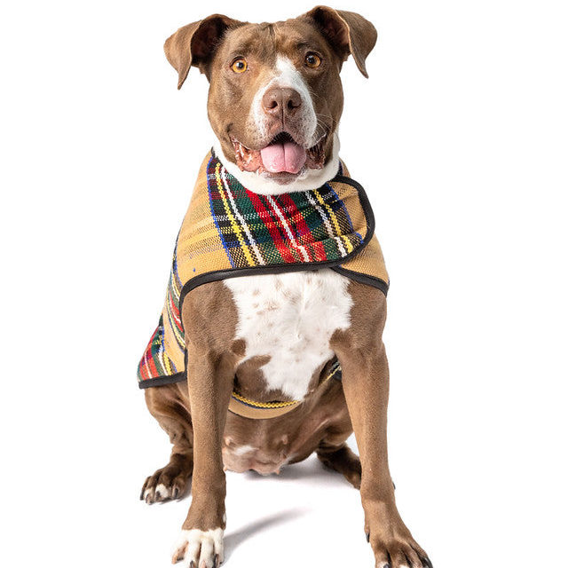Tan Tartan Plaid Blanket Dog Coat