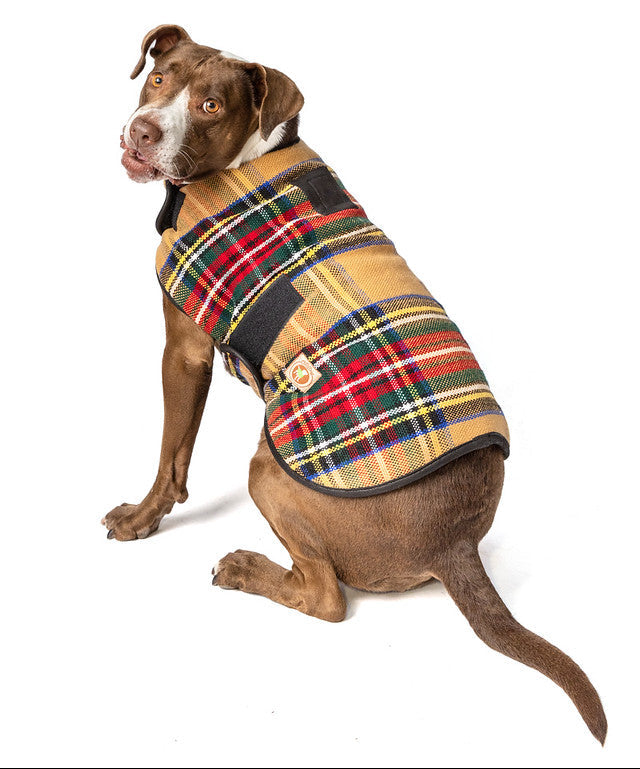 Tan Tartan Plaid Blanket Dog Coat