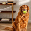3" Tennis Ball Plush Toy (3 Pack)