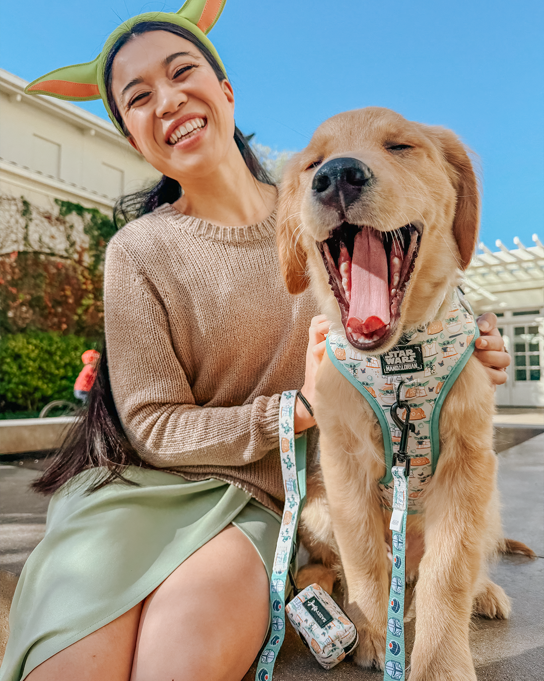 Dog Adjustable Harness - STAR WARS™ The Child™