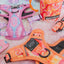 Dog Step-in Harness - Summer Sorbet
