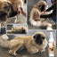 Bye Bye Boo Boo™ Dog Spray