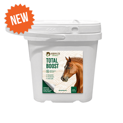 Total Boost: Total Wellness and Maintenance Boost
