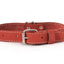 Pro Line Leather Hunting Dog Collar