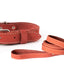 Pro Line Hunting Leather Collar and Leash Set