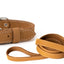 Pro Line Hunting Leather Collar and Leash Set