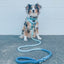 Dog Rope Leash - Tropic