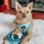Dog Rope Leash - Tropic