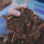 TropicalBase Terrarium Mix; Bioactive Ready to Use