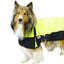 Derby Originals Horse Tough 600D Ripstop Waterproof Winter Dog Coat 150g Medium Weight