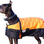 Derby Originals Horse Tough 600D Ripstop Waterproof Winter Dog Coat 150g Medium Weight