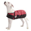 Derby Originals Horse Tough 600D Ripstop Waterproof Winter Dog Coat 150g Medium Weight