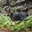 US Army Dog Blanket Jacket - Black