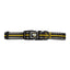 US Army Dog Collar - Dark Camo