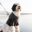 Brooklyn Cashmere Cardigan, Charcoal