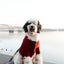 Brooklyn Cashmere Cardigan, Garnet