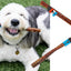 Stash Dog Monster Bully Sticks USA (12inch)