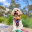 Dog Rope Leash - Unicorn