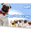 Paw.com Gift Card