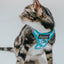 Cat Step-In Harness - Purrs & Petals