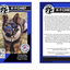HuggleCause™, Project K-9 Hero, K-9 Chief Knottie® Plush Dog Toy, Large