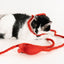 Catch a Mouse by the Tail - Wool Cat Toy