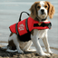AquaGuard Pro Life Jacket