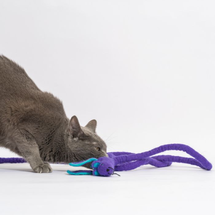 Catch a Mouse by the Tail - Wool Cat Toy