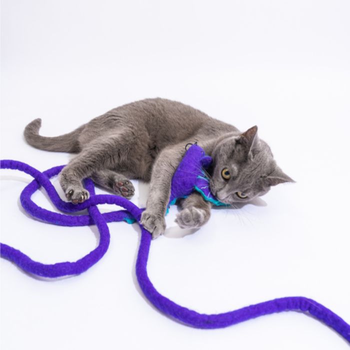 Catch a Mouse by the Tail - Wool Cat Toy