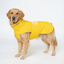 WildGuard Rain Coat