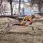 TrailControl No-Pull Harness