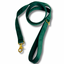 Green Velvet Leash