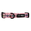 Dog Collar - I Chews You