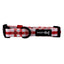 Dog Collar - Picnic Fur Two