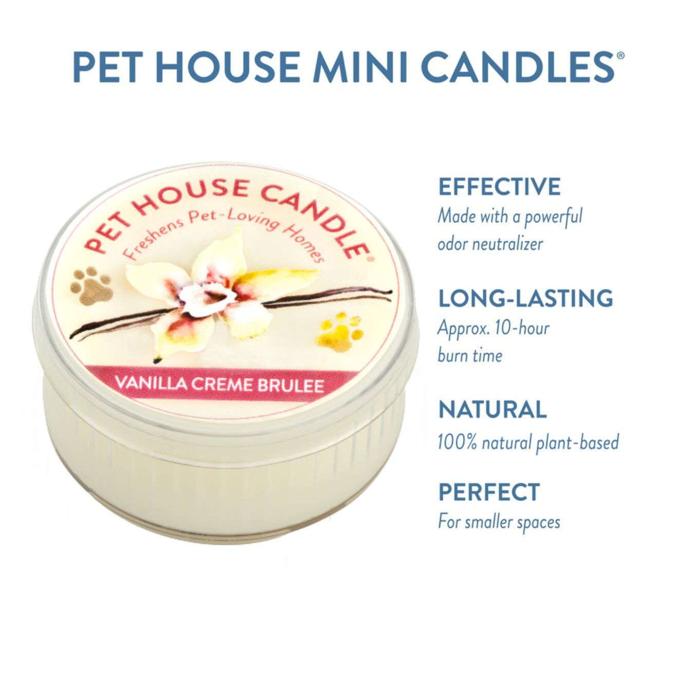 Vanilla Creme Brulee Mini Candle
