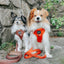 Dog Adjustable Harness - Foxy