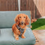 Dog Adjustable Harness - Whole Milk