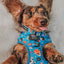 Dog Adjustable Harness - The Powerpuff Girls™ (Blue)