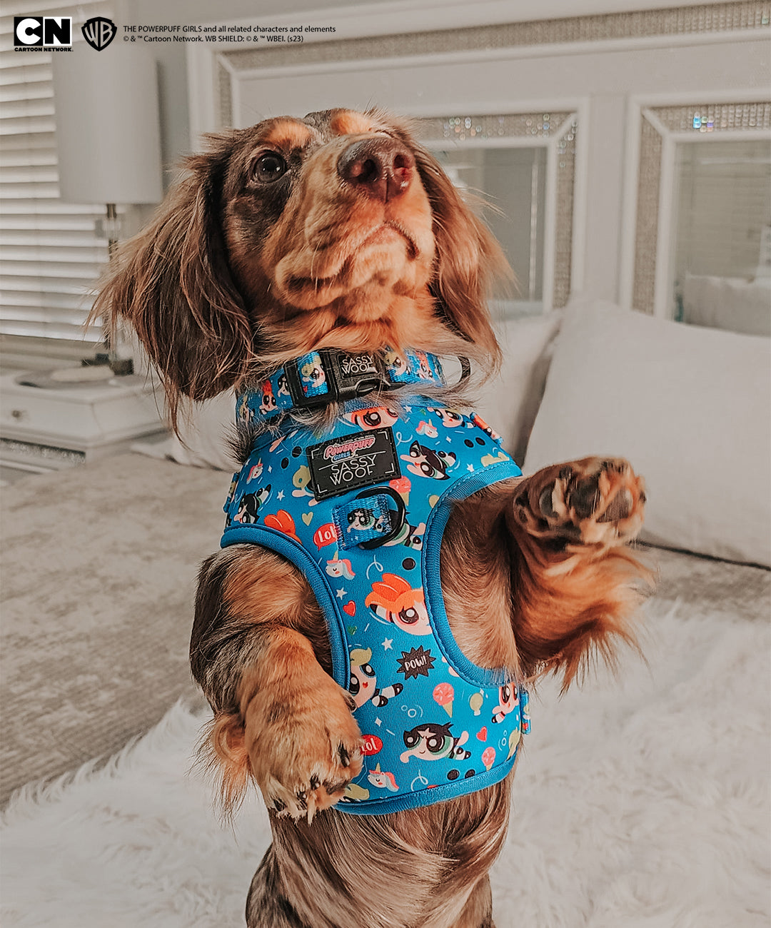 Dog Adjustable Harness - The Powerpuff Girls™ (Blue)