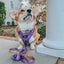 Dog Leash - Willy Wonka & The Chocolate Factory™