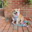 Dog Leash - Polly Pocket™