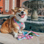 Dog Adjustable Harness - Polly Pocket™