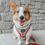 Dog Adjustable Harness - Harry Potter™ Marauder's Map™