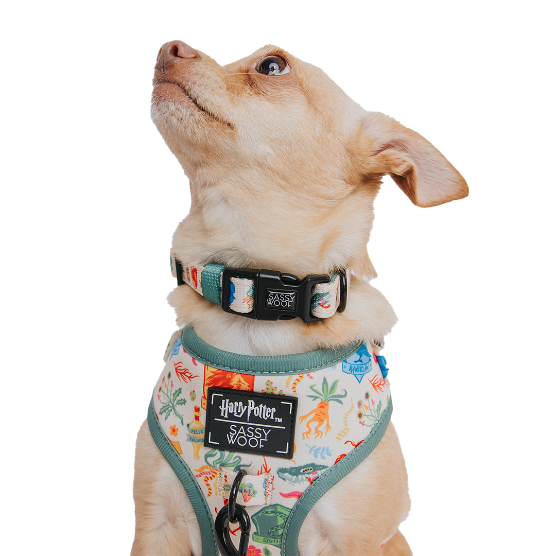 Dog Collar - Harry Potter™ Herbology